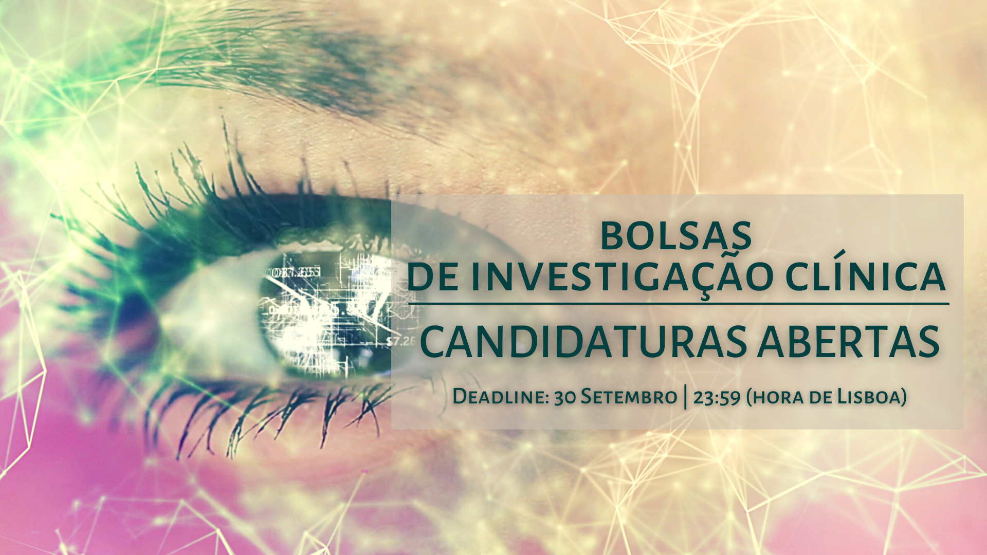 Candidaturas a Bolsas Secção de Investigação Clínica